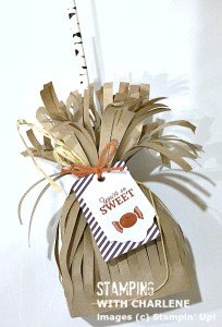 september 2015 paper pumpkin kit stampin up treat bags