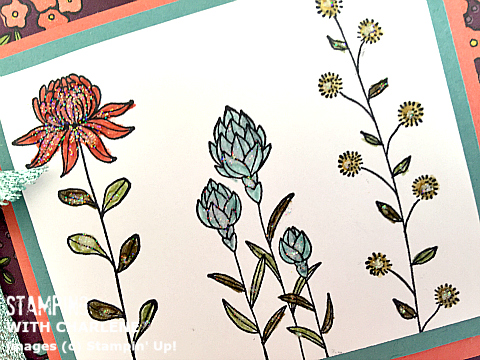 wildflower fields designer series paper from stampin up greeting card