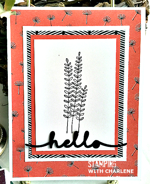 wildflower fields designer series paper from stampin up