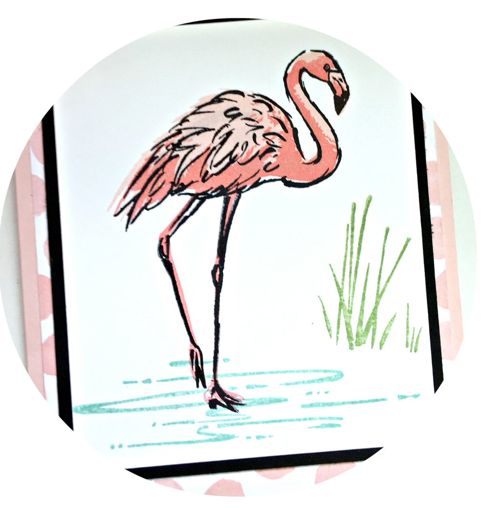 fabulous_flamingo_stampin_up_02