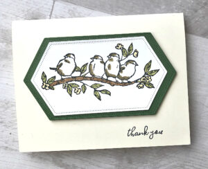 step up your stamping from beginner to intermediate to advanced free as a bird stamp set