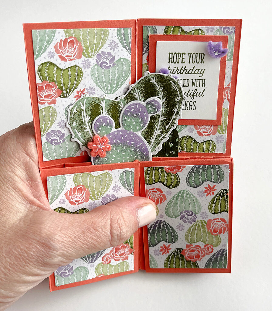 make a pop-up card box stampin up flowering cactus medley