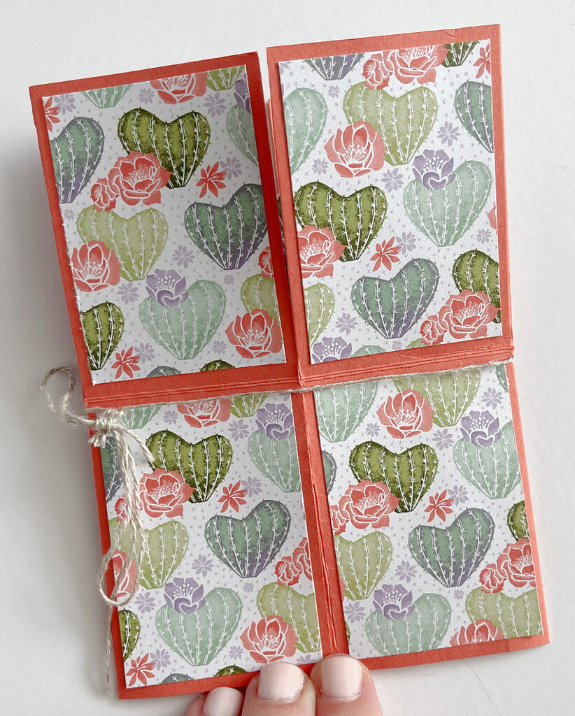 make a pop-up card box stampin up flowering cactus medley